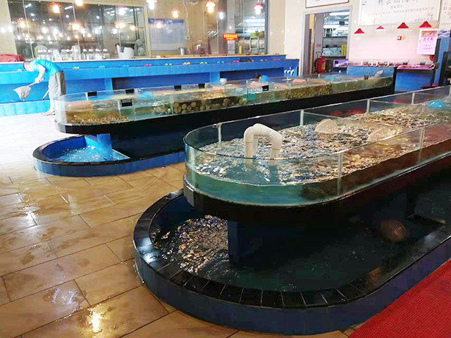 海鲜池